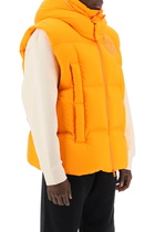 Moncler Apus Down Vest
