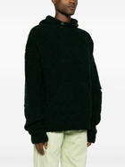Robyn Lynch Green 3D Merino Wool Hoodie