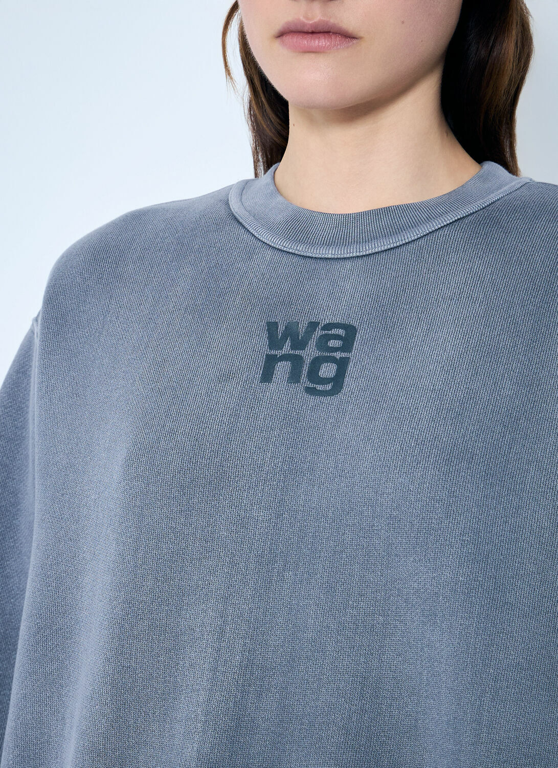 Alexander Wang Essential Classic Sweatshirt