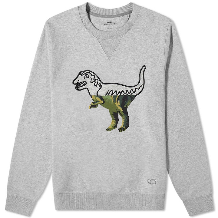 Photo: Coach Rexy Embroidered Crew Sweat