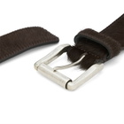 Molebo M2472 Belt in Brown Pony