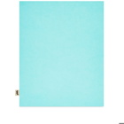 Pith Pomelo Plain Notebook - Large in Azur