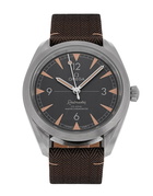 Omega Seamaster Railmaster 220.12.40.20.01.001