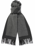 SAINT LAURENT - Fringed Logo-Embroidered Brushed-Silk Scarf