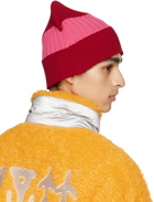 CFCL SSENSE Exclusive Red & Pink Rib Beanie
