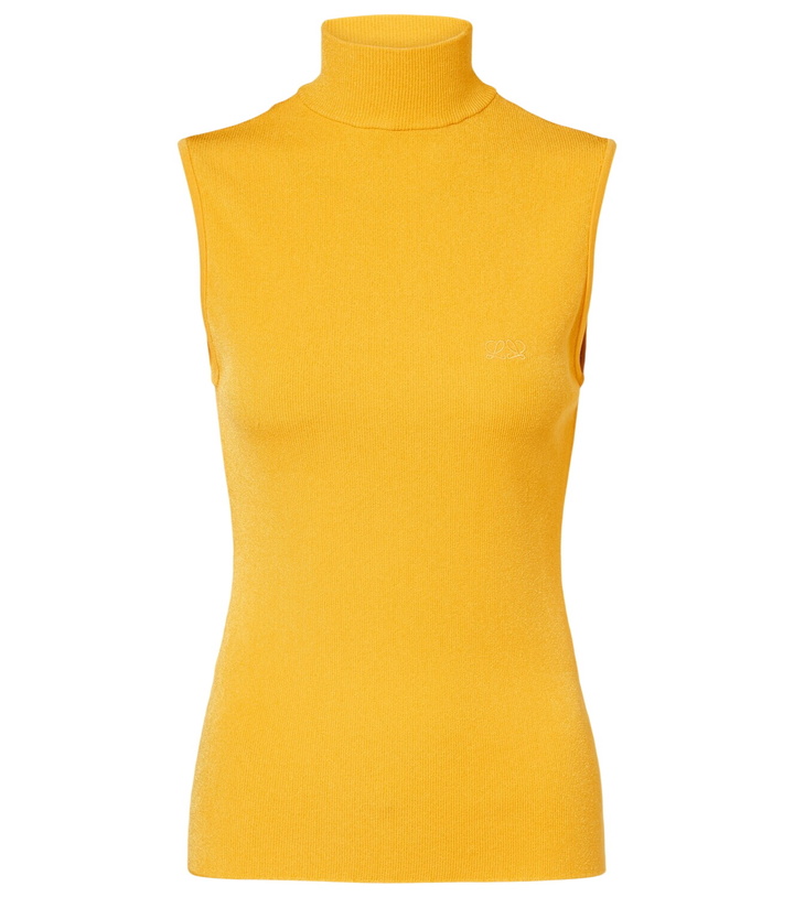 Photo: Loewe Double L ribbed-knit top