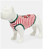 Gucci - Strawberry striped dog sweater