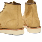 Red Wing Men's Classic 6" Moc Toe Boot in Hawthorne Abilene - Preorder Only