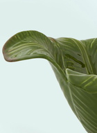 Bordallo Pinheiro Banana Madeira Salad Bowl