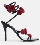Rene Caovilla Cleo floral-appliqué satin sandals