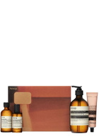 Aesop Hand and Home Offering