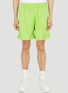 Collegiate Mesh Shorts in Green