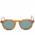 Oscar Deen Pinto Sunglasses in Havana/Olive 