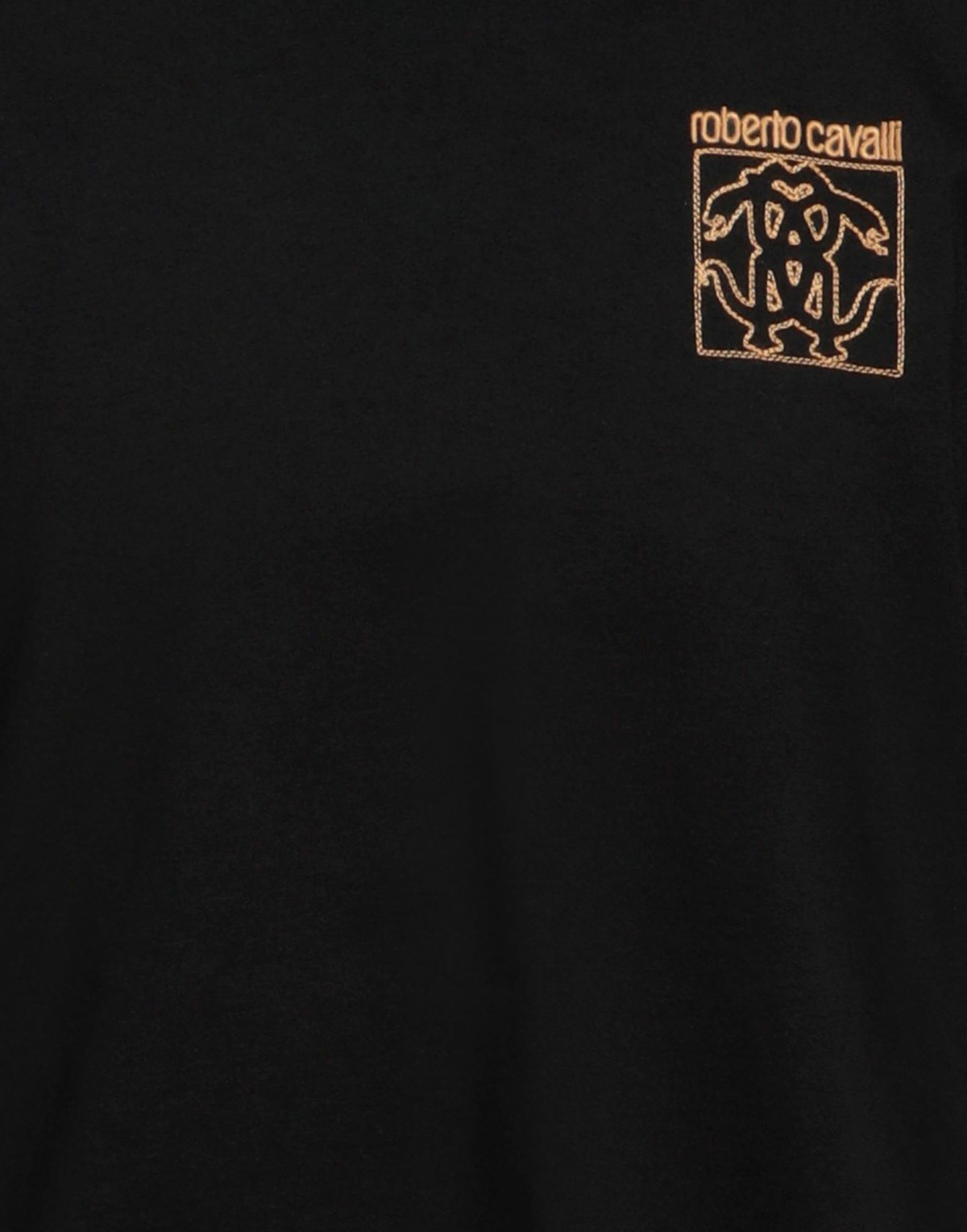 Roberto Cavalli Mens T-shirt in Black