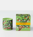 Dolce&Gabbana Casa Arancio Di Sicilia scented candle