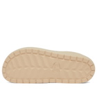 Crocs Classic Energy Clog in Bark