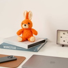 BEAMS JAPAN Rabbit in Orange 