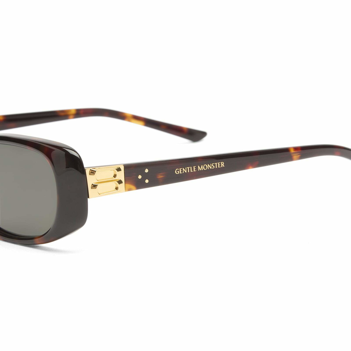 Gentle Monster Dust Musk Sunglasses in Tortoise/Black 