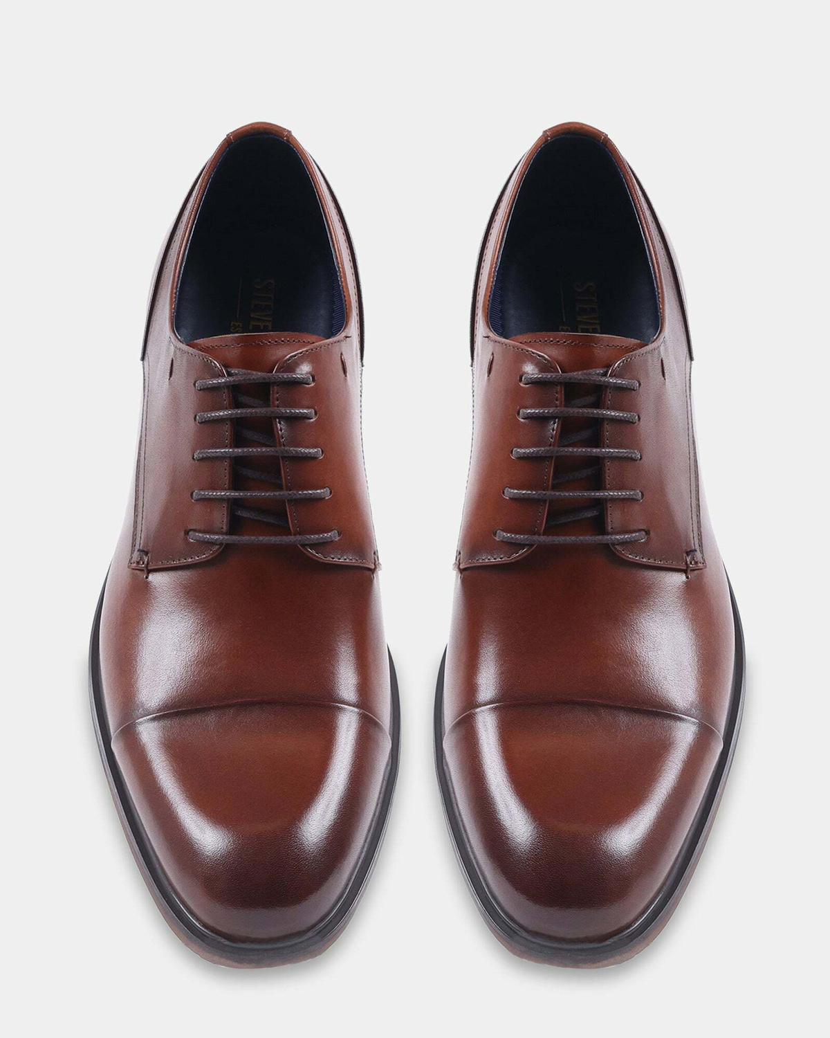 Steve Madden Vander Dress Shoes in Tan
