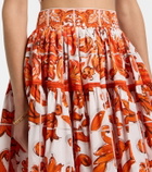 Dolce&Gabbana Majolica cotton poplin miniskirt