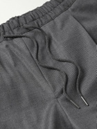 Caruso - Slim-Fit Pleated Wool Drawstring Trousers - Gray