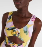Alexandra Miro Beth floral cutout swimsuit