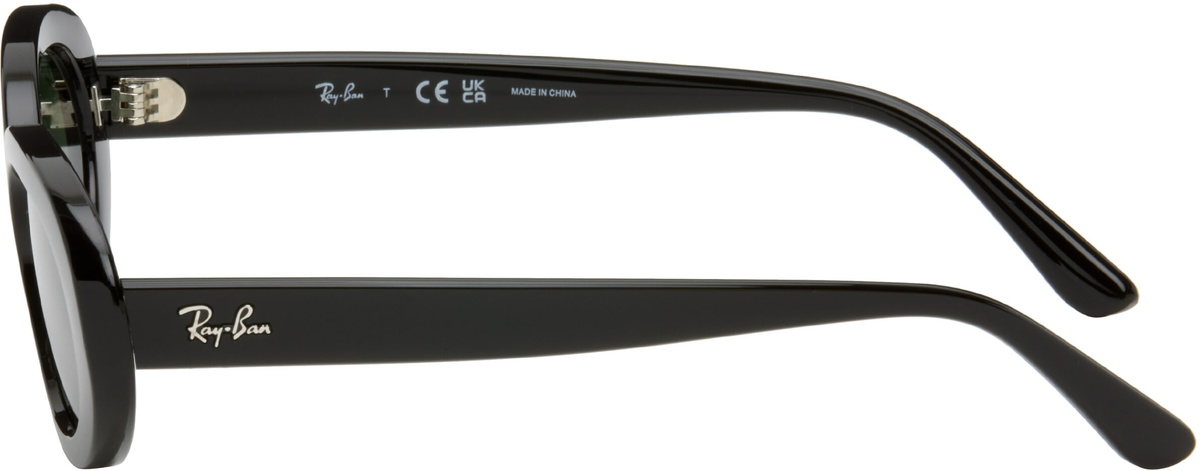 Ray-Ban Black RB2223 Sunglasses