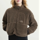 The North Face Women's Extreme Pile Pullover in Smokey Brown