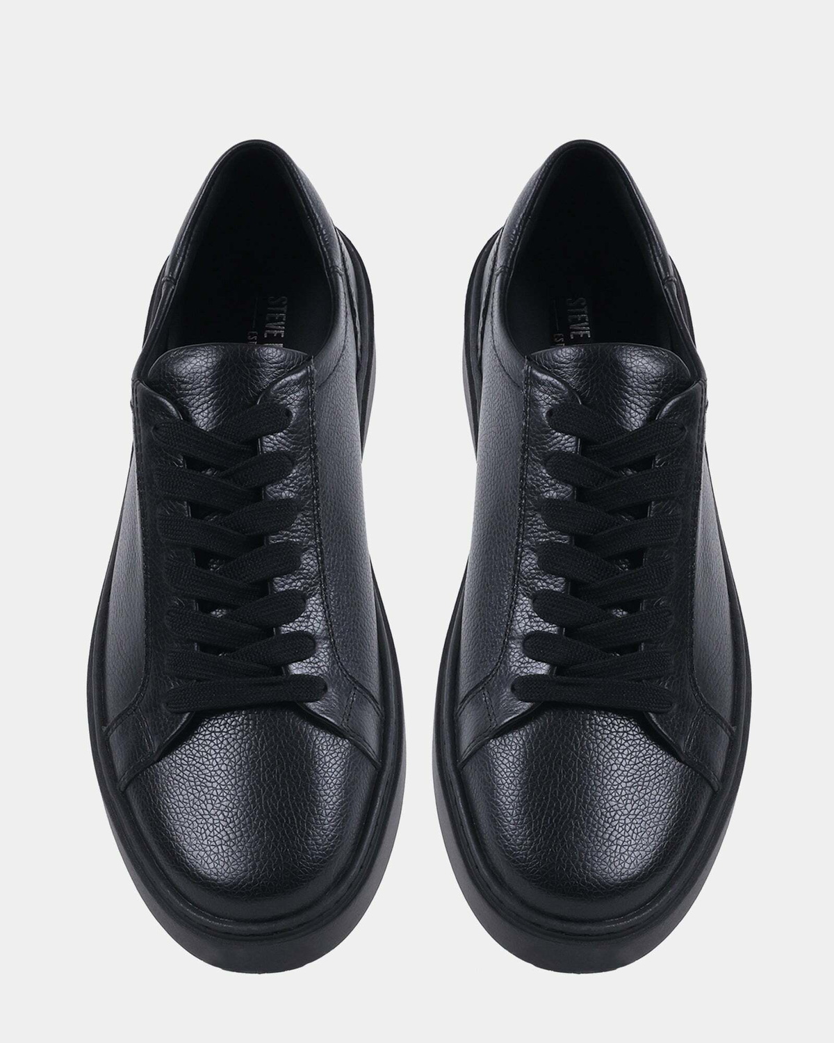 Steve Madden Argo Sneakers in Black