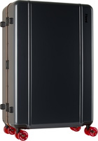 Floyd Gray Trunk Suitcase