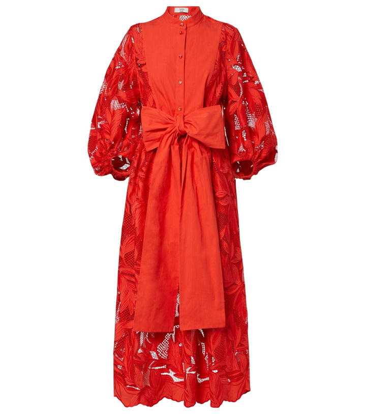 Photo: Erdem Embroidered mesh midi dress