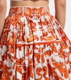 Dolce&Gabbana Majolica cotton poplin miniskirt