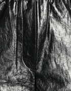 Weekend Max Mara Womens Pants in Black