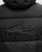 Lacoste Short Water Repellent Hooded Puffed Jacket Black Down & Puffer Jackets