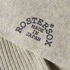 Rostersox Whats Up Sock in Light Grey
