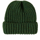 Café Mountain Men's Wool Toque Beanie in Ivy Green