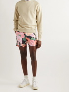 TOM FORD - Straight-Leg Floral-Print Cotton-Blend Shorts - Pink