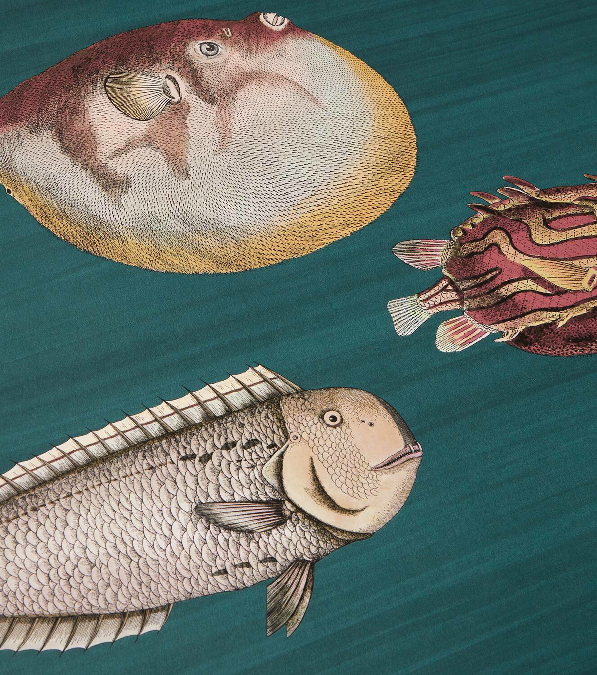 Fornasetti x Cole & Son Acquario printed wallpaper