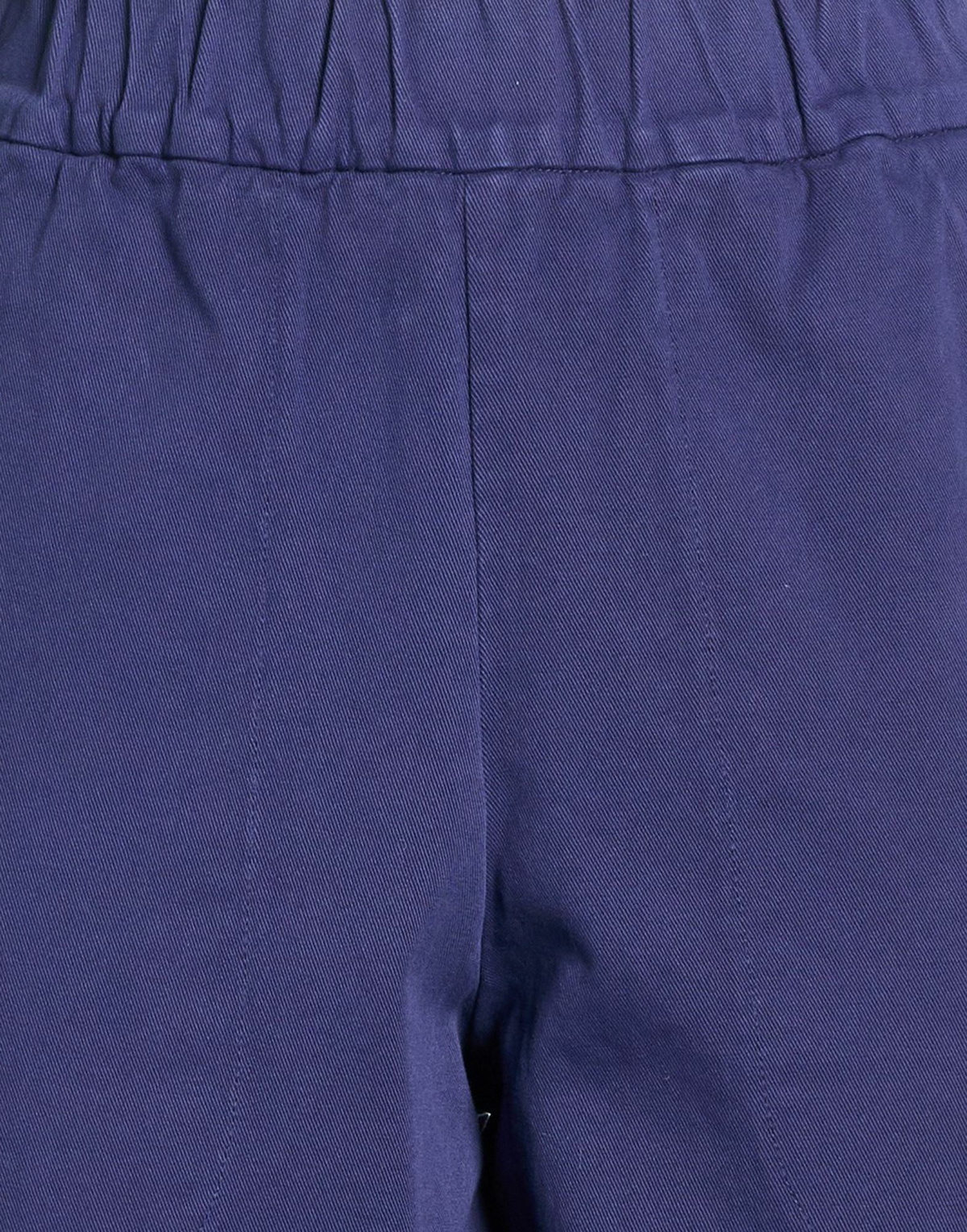 Barena Womens Pants in Blue