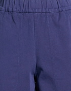 Barena Womens Pants in Blue