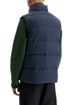 PATAGONIA padded downstream vest Blue