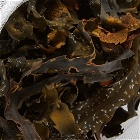Haeckels Traditional Seaweed Bath