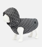 Moncler Genius - x Poldo Dog Couture hooded dog coat