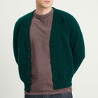 Jamieson's of Shetland Men's Jamiesons of Shetland V-Neck Cardigan in Green