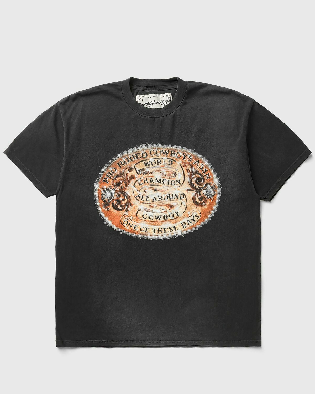 One of these Days WORLD CHAMPIONS TSHIRT Black Mens Shortsleefe