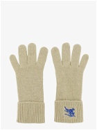 Burberry   Gloves Green   Mens
