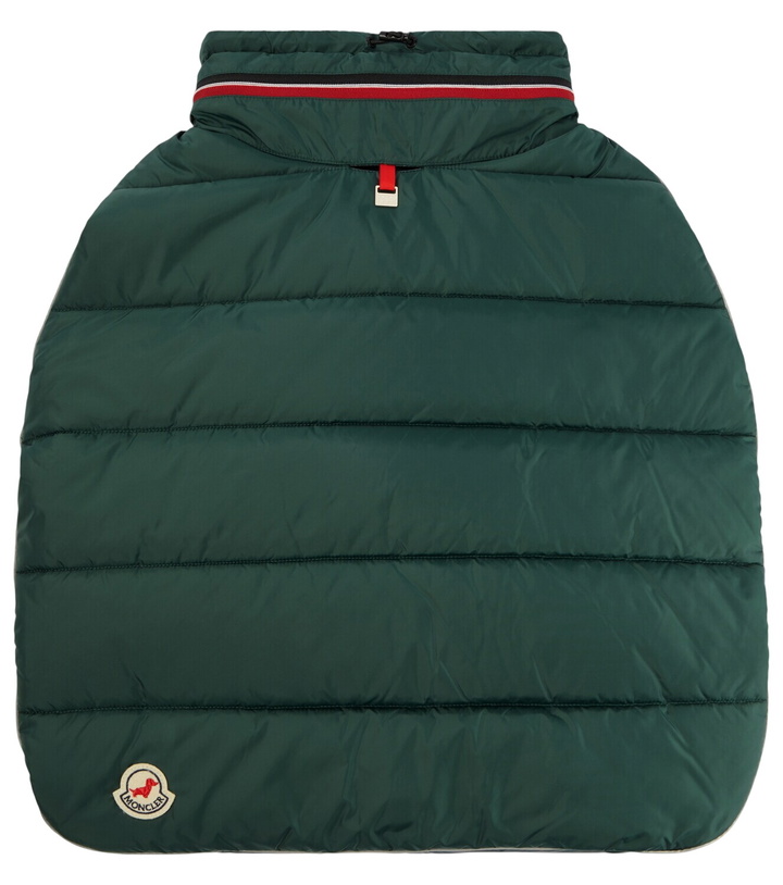 Photo: Moncler Moncler Poldo Dog Couture dog coat