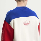 Adidas Men's Graphic Sweatshirt in Team Royal Blue/Cloud White