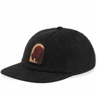 Pass~Port Men's Bloodhound Cord Cap in Black