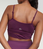 Alo Yoga Airbrush sports bra